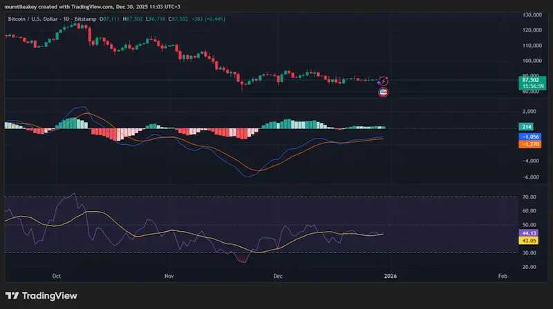 Untitled Project 88 1