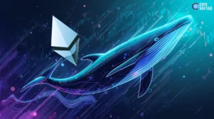 Ethereum Rally Above $2,000 Sparks Volatility and Whale Accumulation
