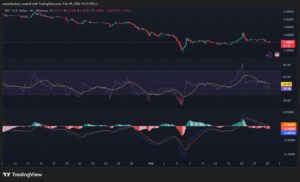 WhatsApp Image 2026 02 19 at 2.37.25 PM