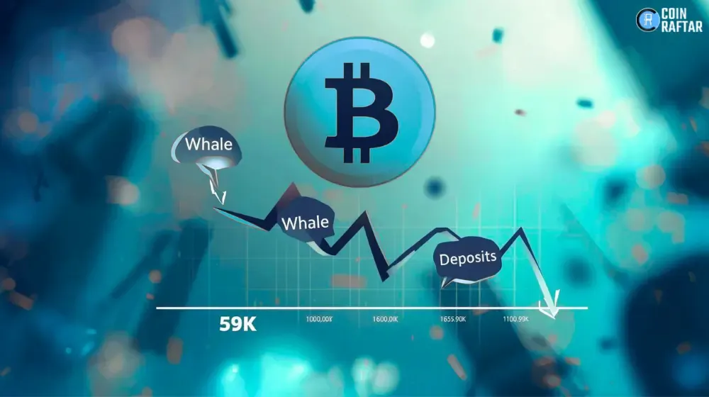 Bitcoin Signals Shift as Whale Deposits Fall and $59K Support Holds