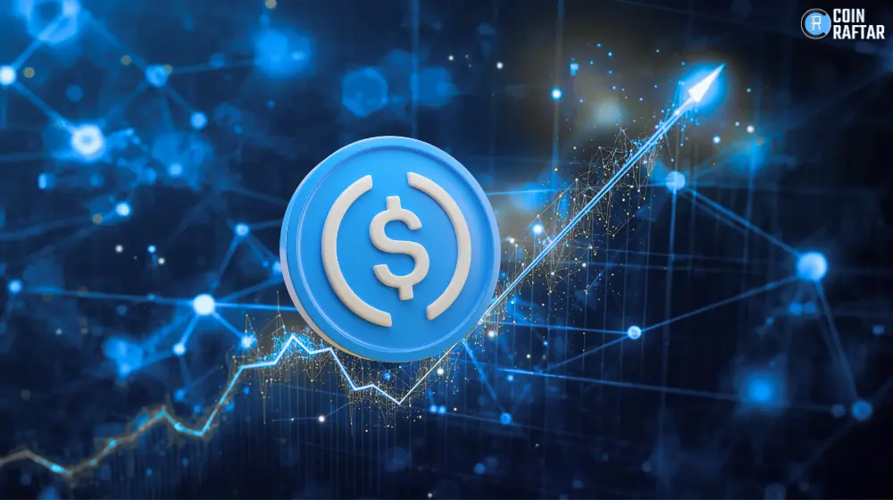 Stablecoin Adoption Expands as Market Cap Reaches $313B