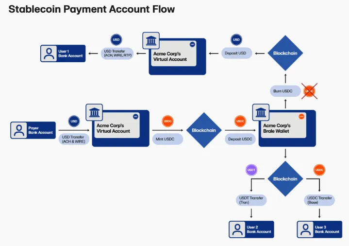 USDC Transfers operate through Blockchain Networks.