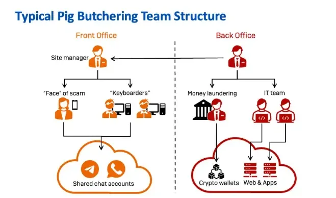 How do scammers build trust before stealing funds?
