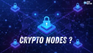 Crypto Nodes